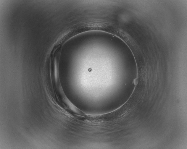 X0000071810731200606301226