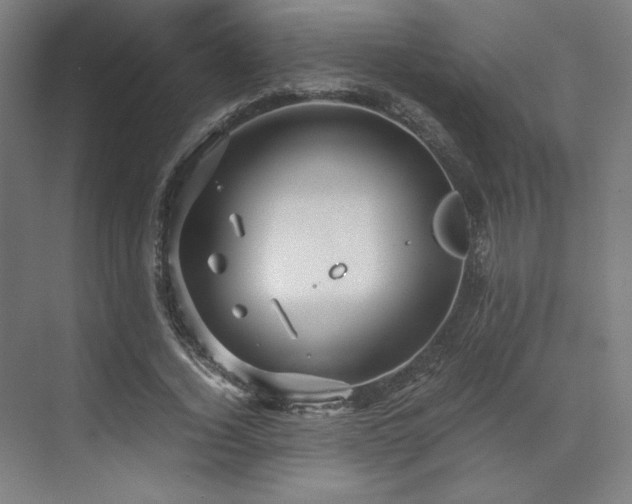 X0000071810732200606301226