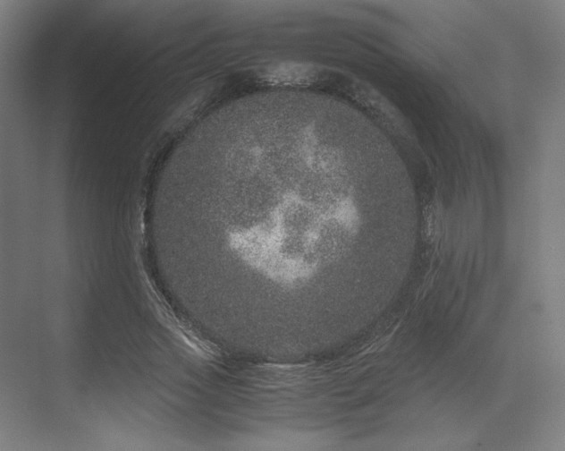 X0000071810733200606301226