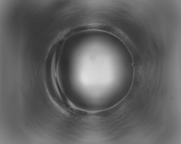 X0000071810734200606301226