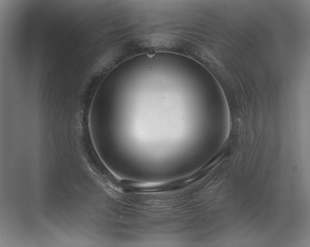 X0000071810735200606301226