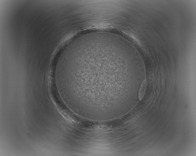 X0000071810736200606301226