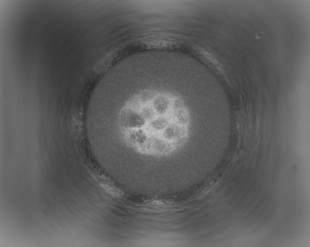 X0000071810737200606301226