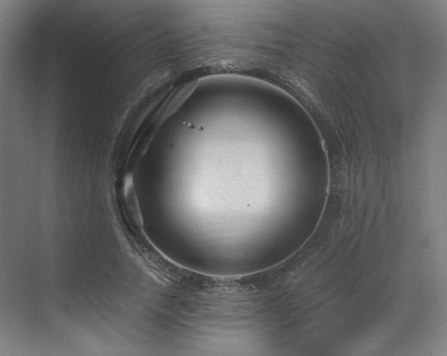 X0000071810738200606301226