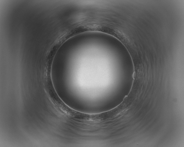 X0000071810739200606301226