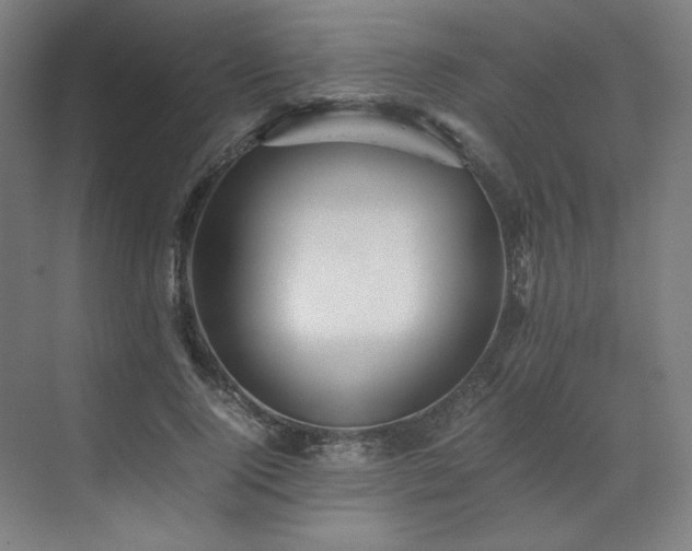 X0000071810740200606301226