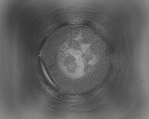 X0000071810741200606301226