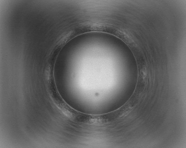 X0000071810744200606301226