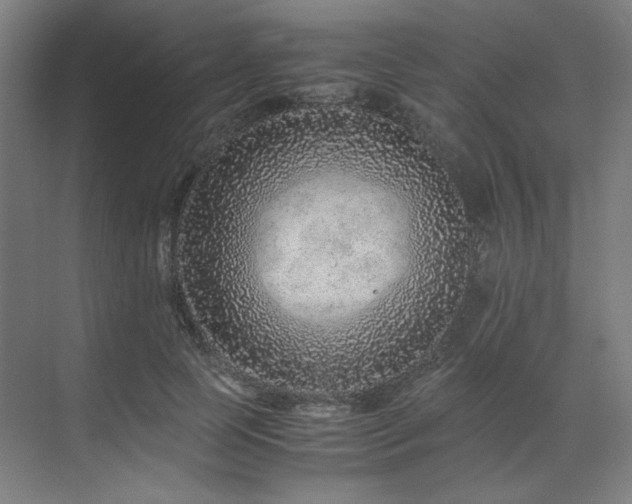 X0000071810745200606301226