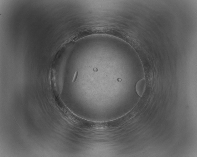 X0000071810746200606301226