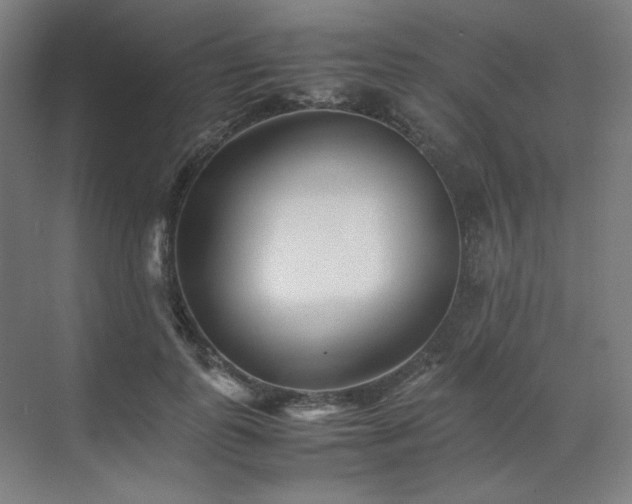 X0000071810747200606301226