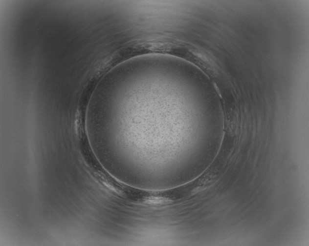 X0000071810748200606301226