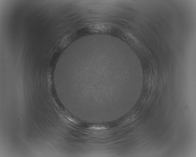 X0000071810749200606301226