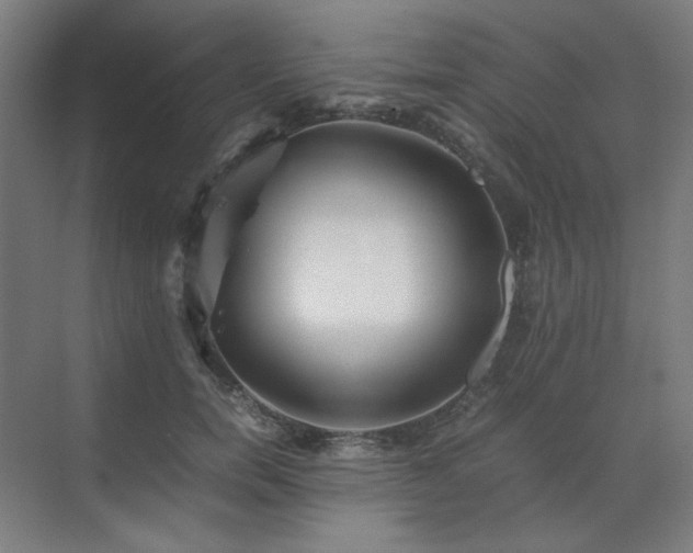 X0000071810750200606301226