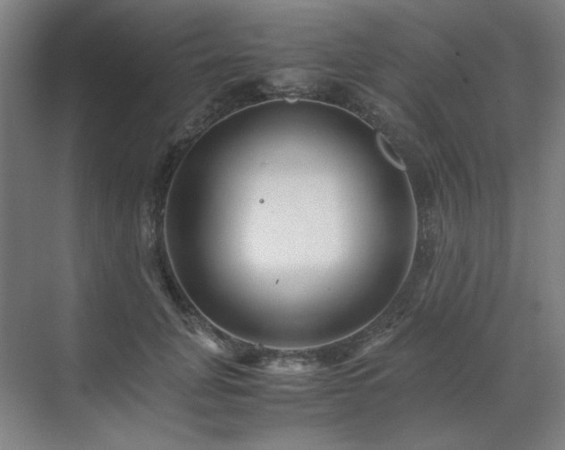 X0000071810751200606301226