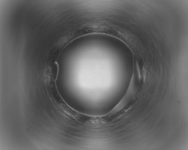 X0000071810752200606301226