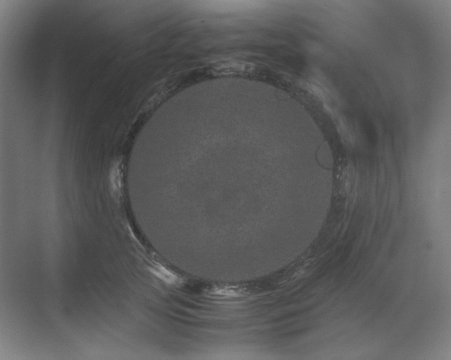 X0000071810753200606301226