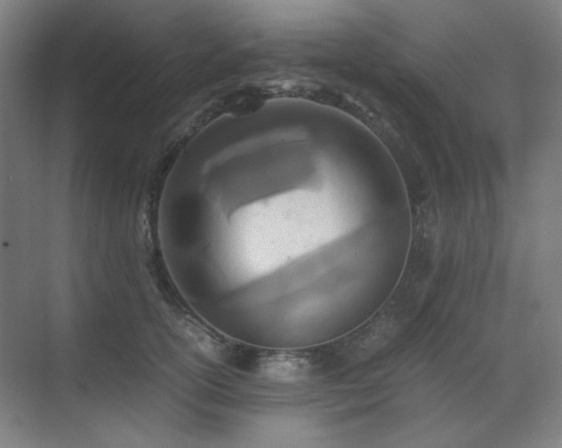 X0000071810754200606301227