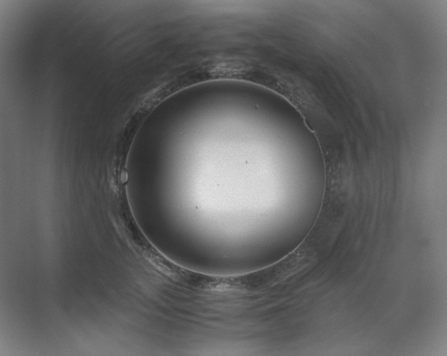 X0000071810755200606301227