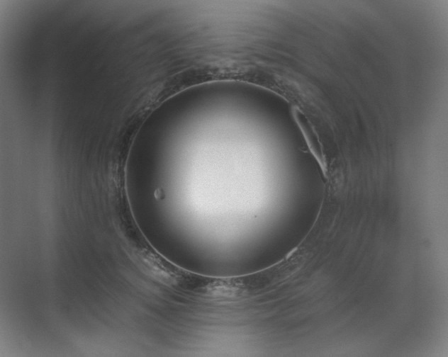 X0000071810756200606301227