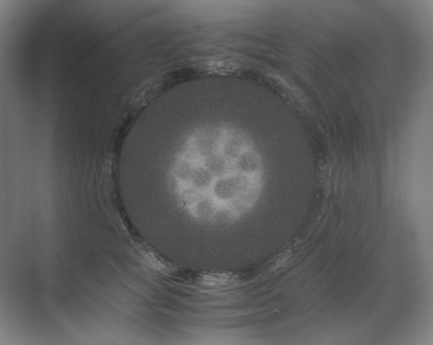 X0000071810757200606301227