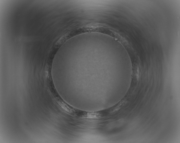 X0000071810758200606301227