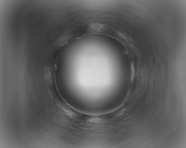 X0000071810759200606301227