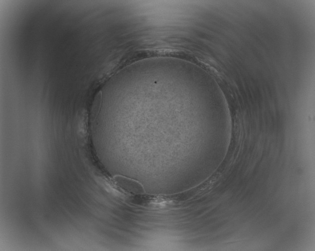 X0000071810760200606301227