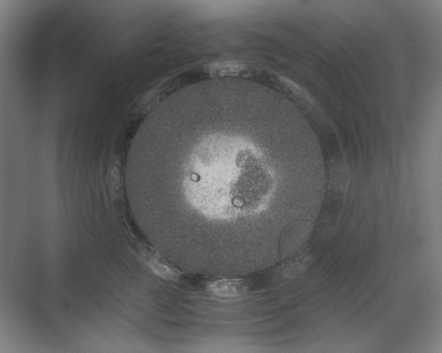 X0000071810761200606301227