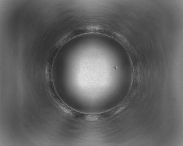 X0000071810762200606301227