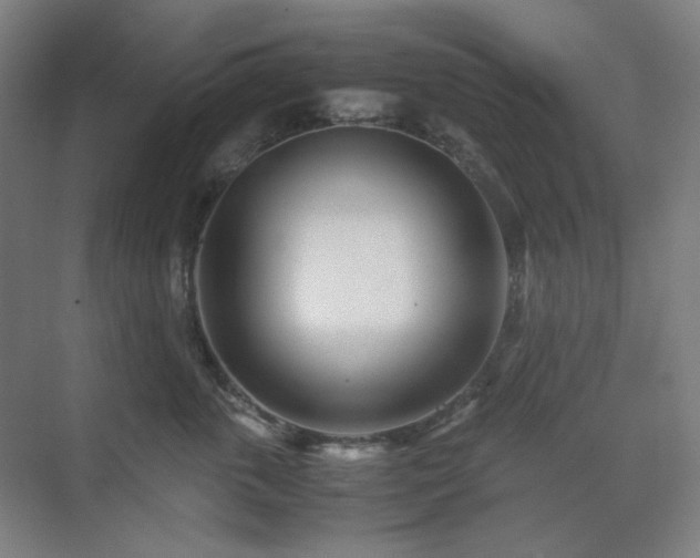 X0000071810763200606301227