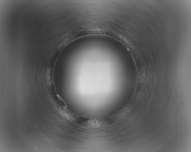 X0000071810764200606301227