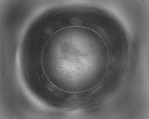 X0000071810765200606301227