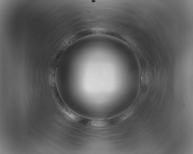 X0000071810766200606301227