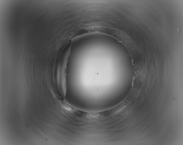 X0000071810767200606301227