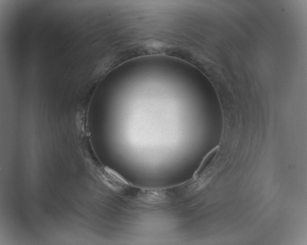 X0000071810768200606301227