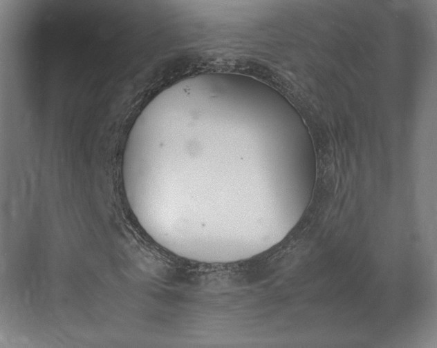 X0000071810769200606301226