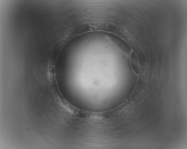 X0000071810770200606301226