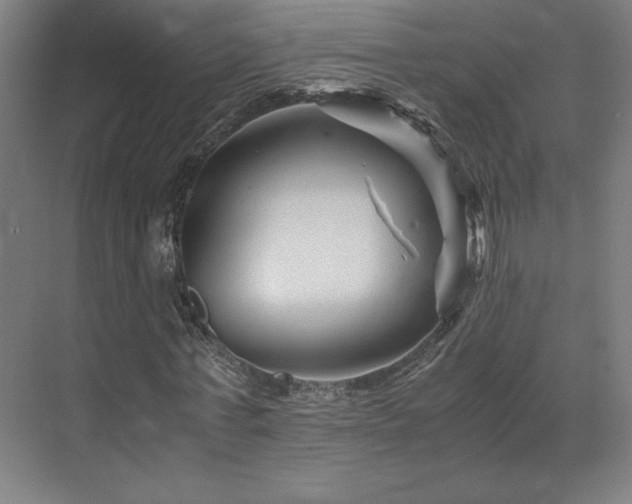 X0000071810771200606301226