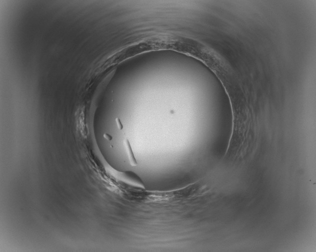 X0000071810773200606301226