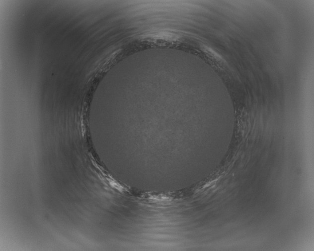 X0000071810774200606301226