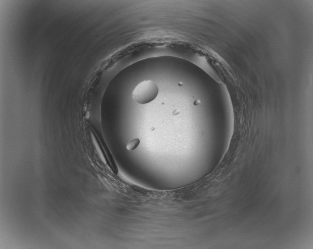 X0000071810775200606301226