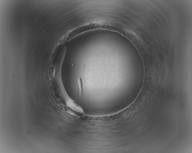 X0000071810776200606301226