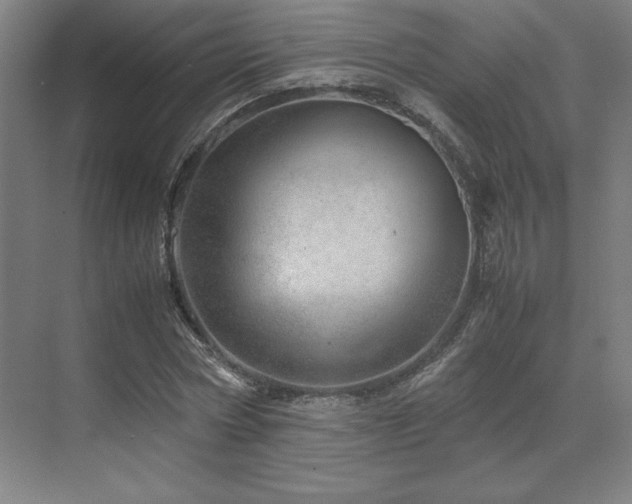 X0000071810778200606301226