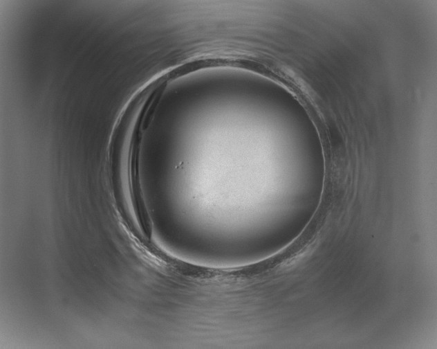 X0000071810779200606301226