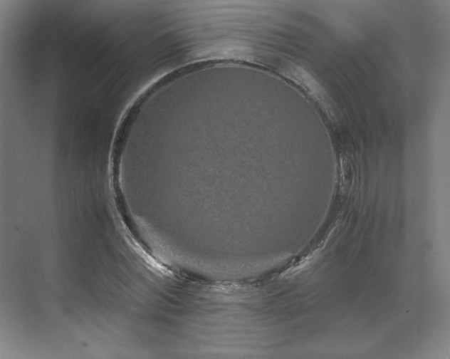 X0000071810780200606301226