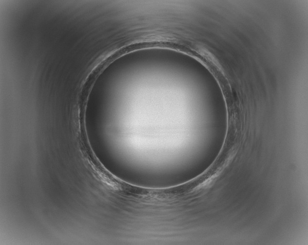 X0000071810781200606301226