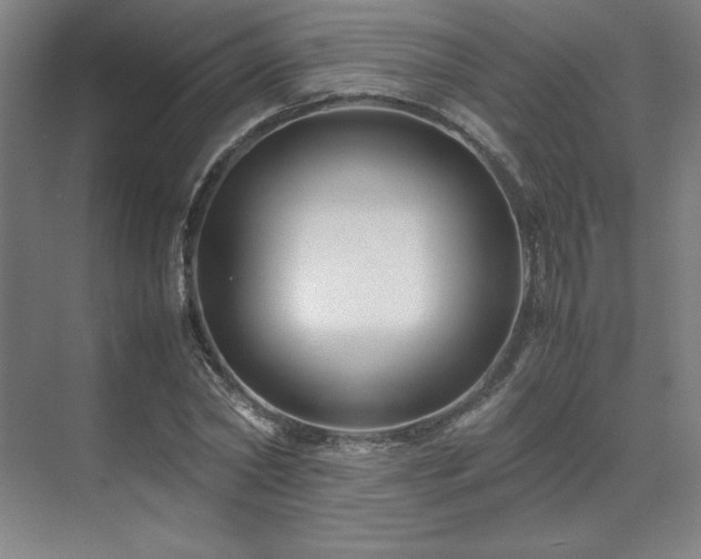 X0000071810782200606301226