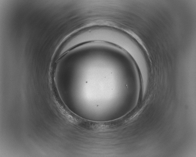 X0000071810783200606301226