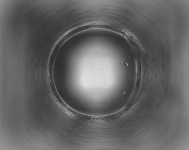 X0000071810784200606301226